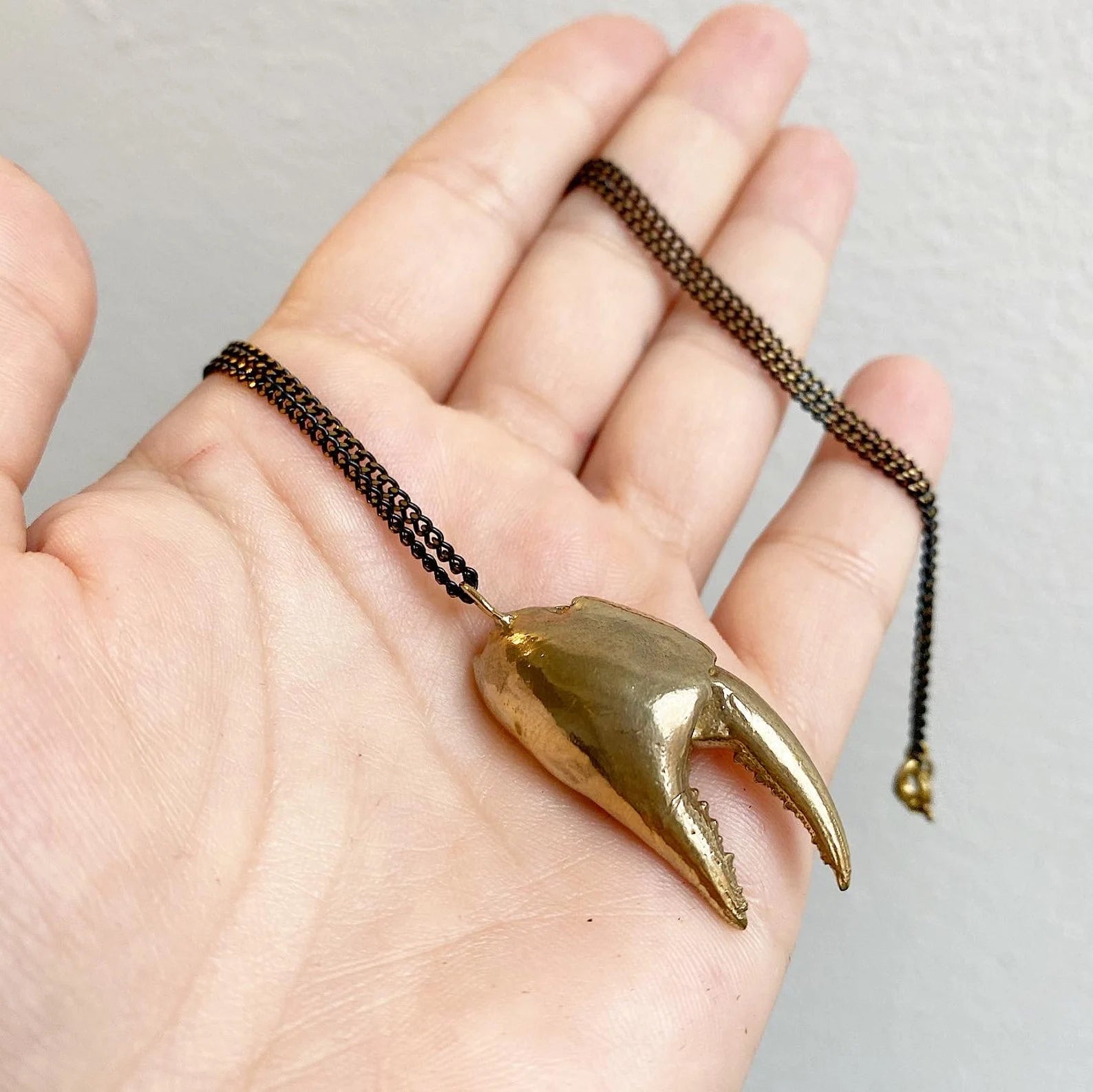Large Crab Claw Necklace