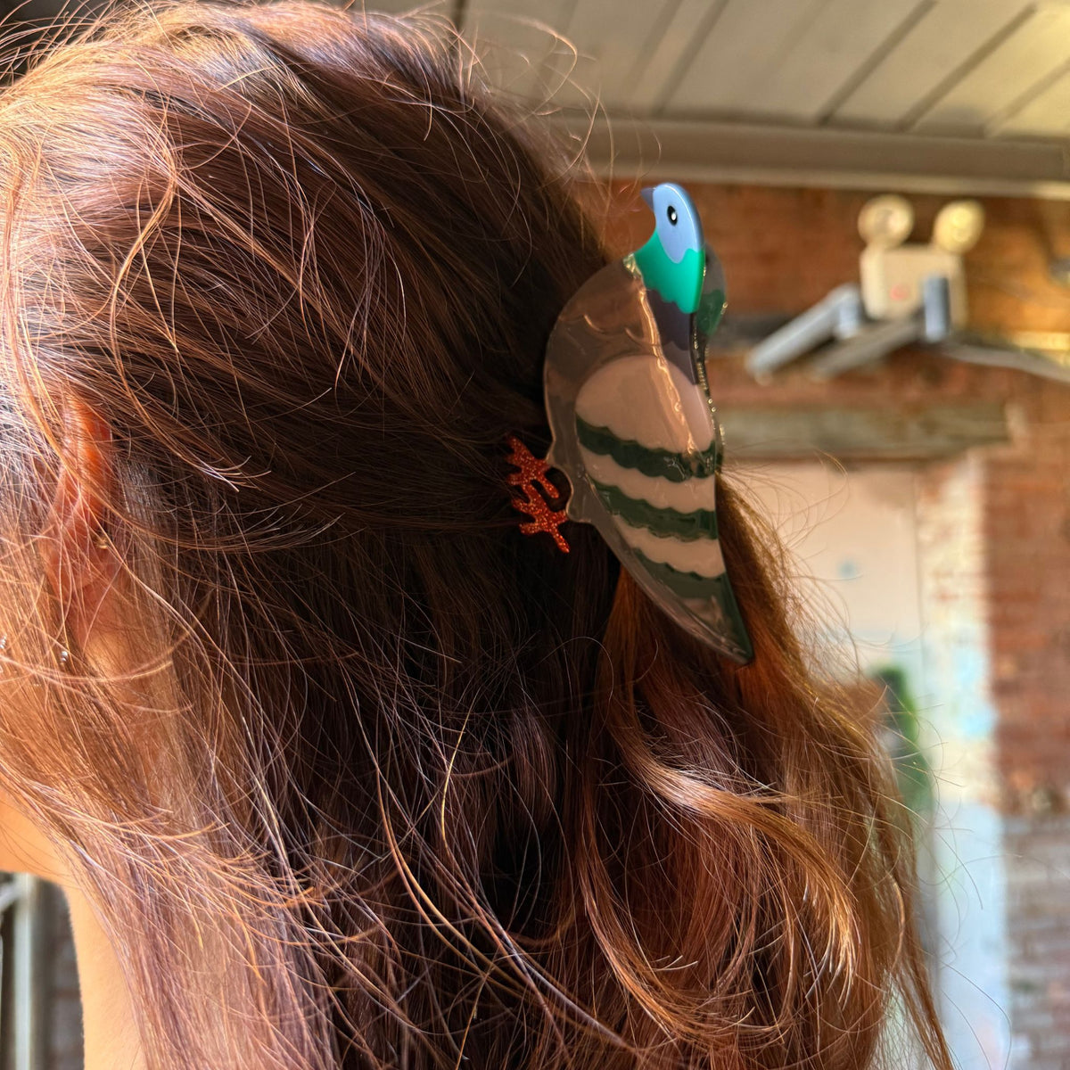 Pigeon Claw Clip