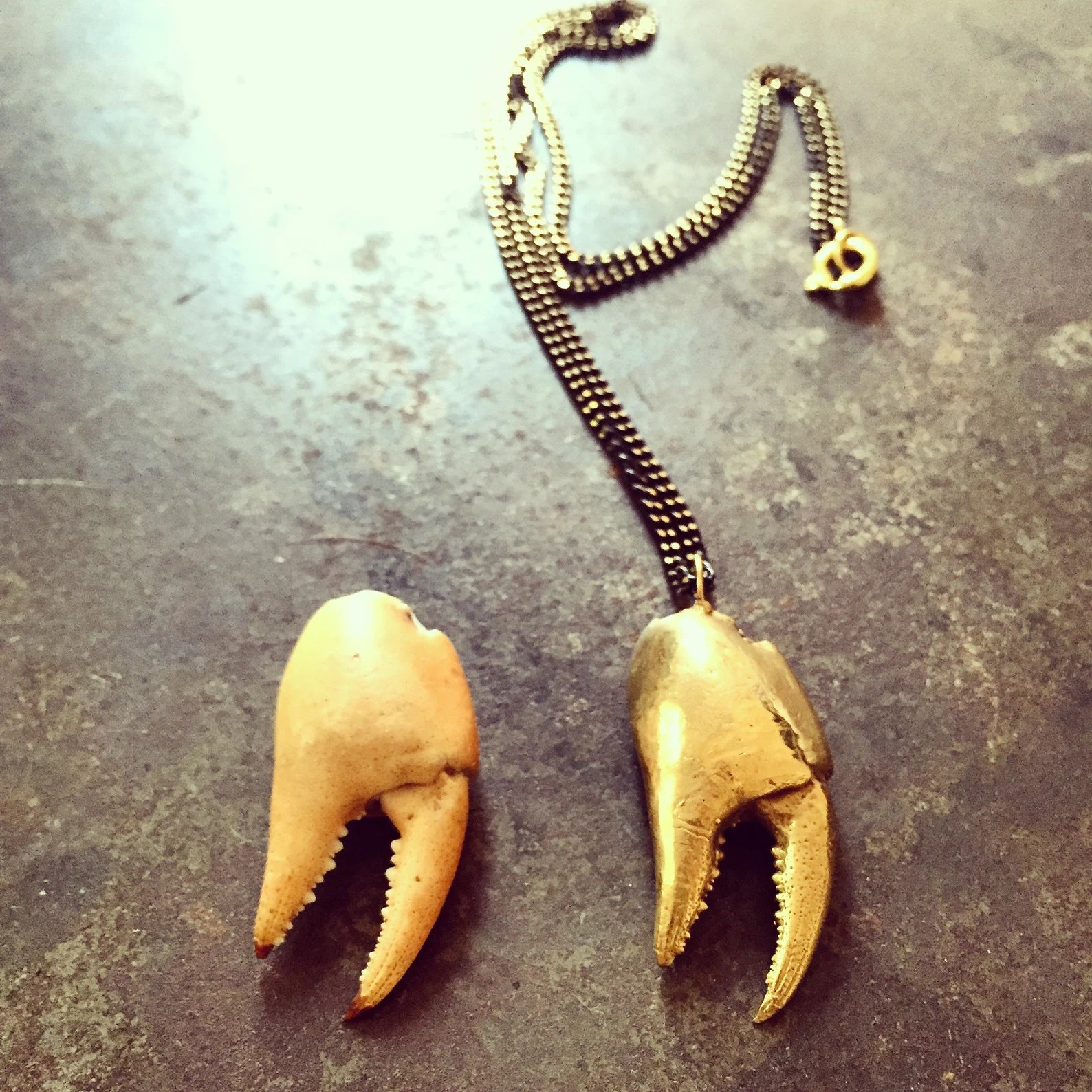 Large Crab Claw Necklace