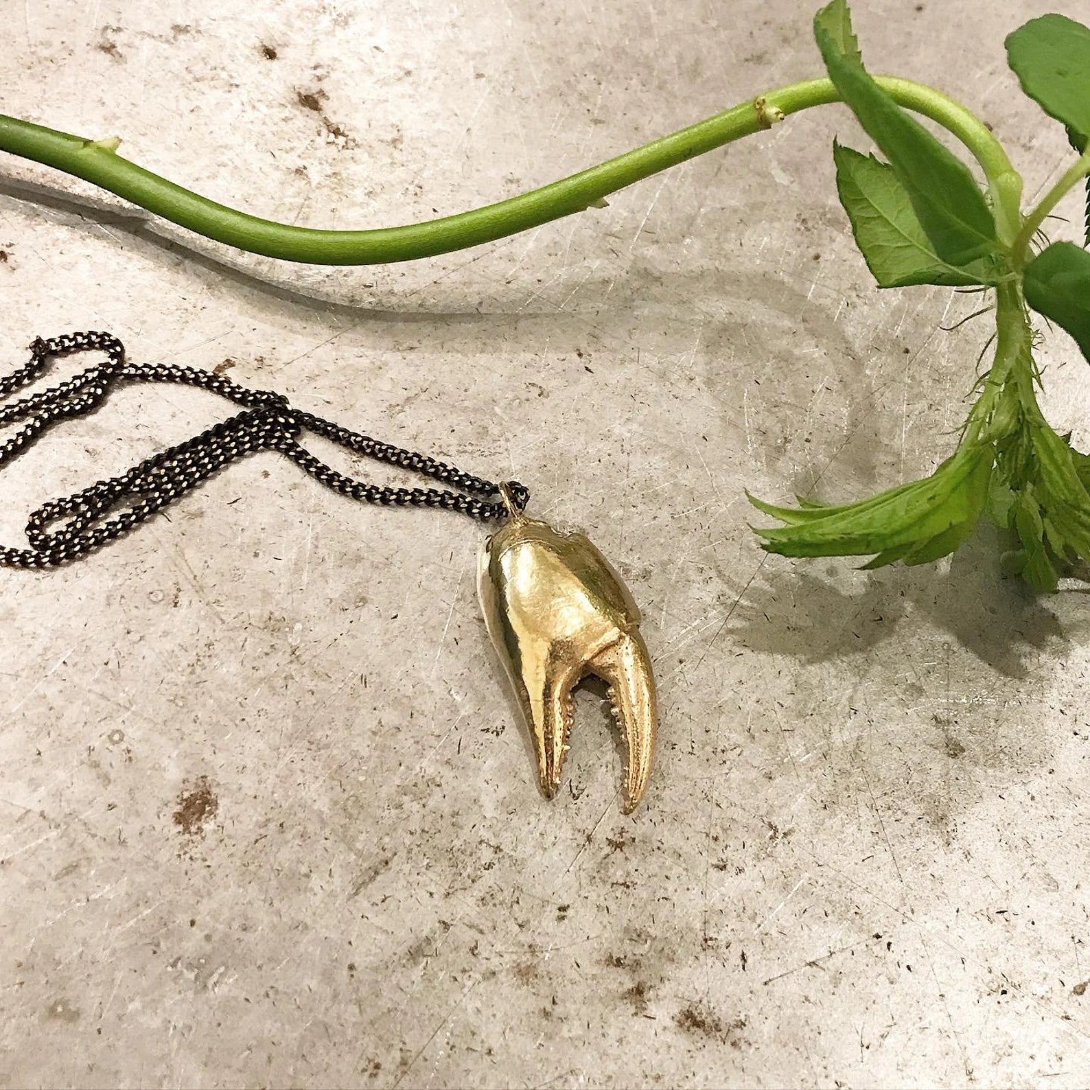Large Crab Claw Necklace
