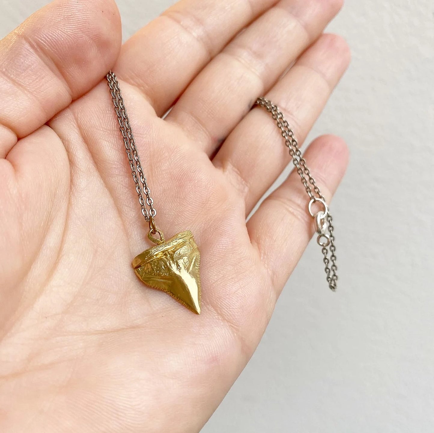 Shark Tooth Necklace