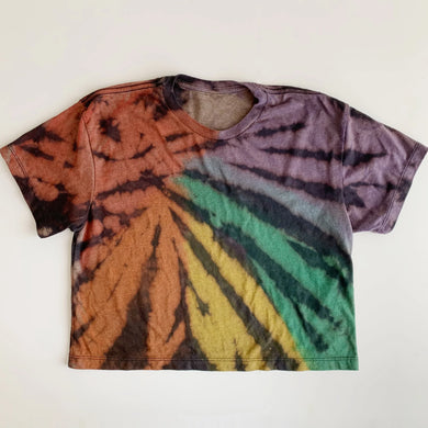 Rainbow Tie Dye Crop Top